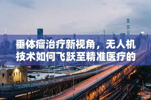 垂体瘤治疗新视角，无人机技术如何飞跃至精准医疗的前沿？