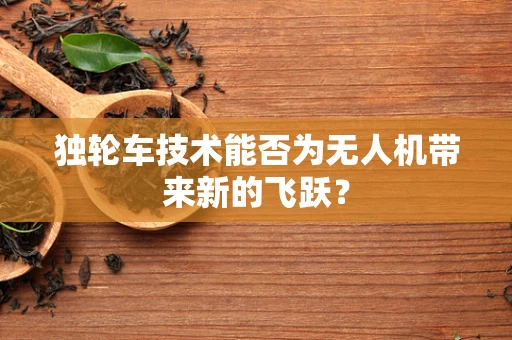独轮车技术能否为无人机带来新的飞跃？