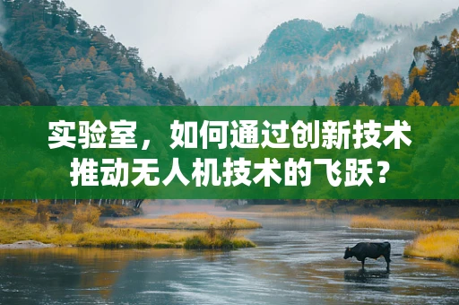 实验室，如何通过创新技术推动无人机技术的飞跃？