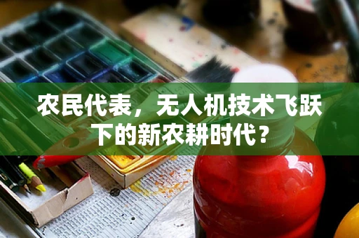 农民代表，无人机技术飞跃下的新农耕时代？