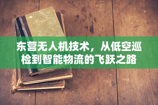 东营无人机技术，从低空巡检到智能物流的飞跃之路