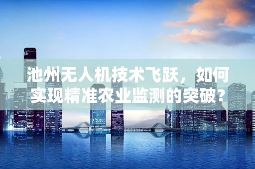 池州无人机技术飞跃，如何实现精准农业监测的突破？