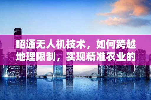 昭通无人机技术，如何跨越地理限制，实现精准农业的飞跃？