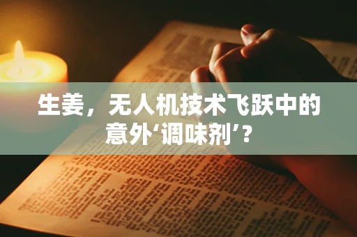 生姜，无人机技术飞跃中的意外‘调味剂’？