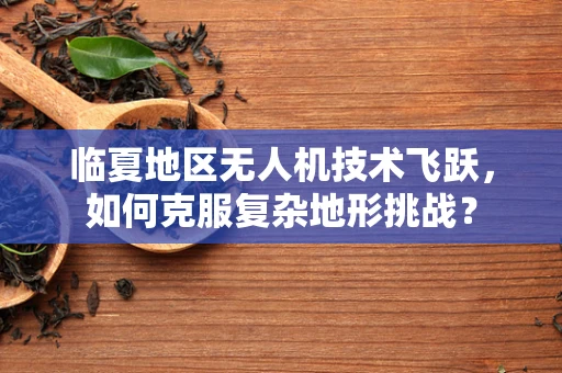 临夏地区无人机技术飞跃，如何克服复杂地形挑战？