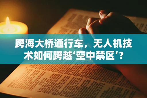 跨海大桥通行车，无人机技术如何跨越‘空中禁区’？