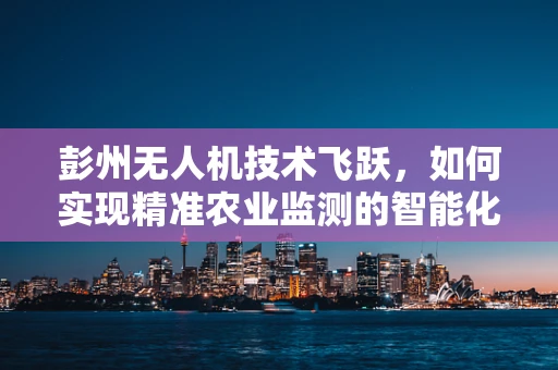 彭州无人机技术飞跃，如何实现精准农业监测的智能化升级？