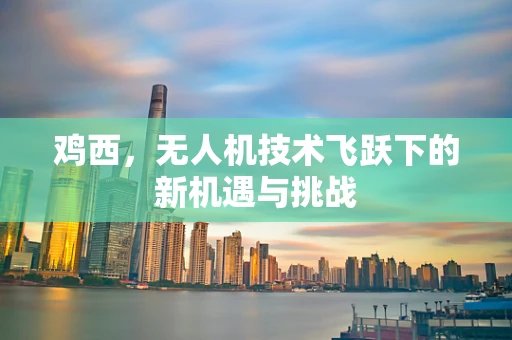 鸡西，无人机技术飞跃下的新机遇与挑战