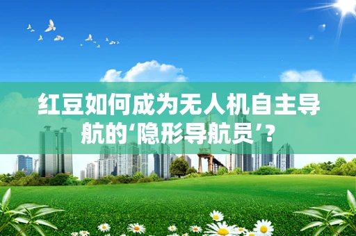 红豆如何成为无人机自主导航的‘隐形导航员’？