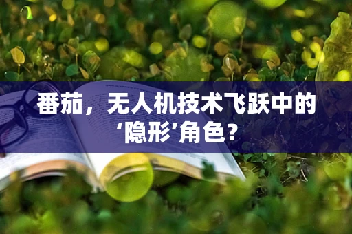 番茄，无人机技术飞跃中的‘隐形’角色？