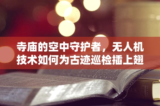 寺庙的空中守护者，无人机技术如何为古迹巡检插上翅膀？