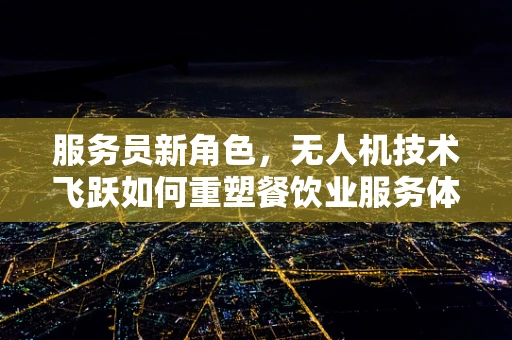 服务员新角色，无人机技术飞跃如何重塑餐饮业服务体验？