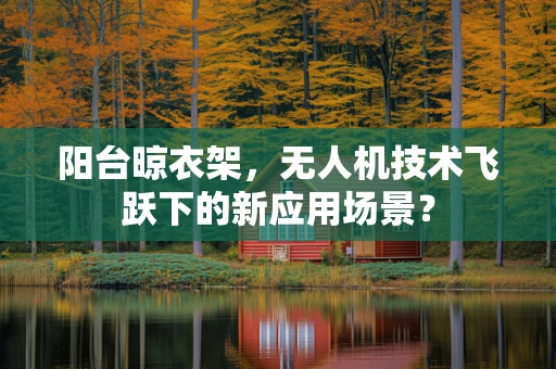 阳台晾衣架，无人机技术飞跃下的新应用场景？
