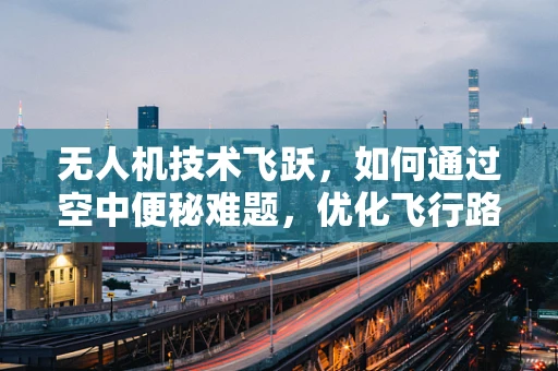 无人机技术飞跃，如何通过空中便秘难题，优化飞行路径规划？