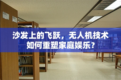沙发上的飞跃，无人机技术如何重塑家庭娱乐？