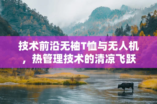 技术前沿无袖T恤与无人机，热管理技术的清凉飞跃