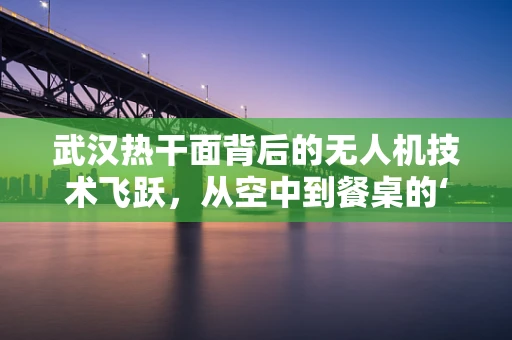 武汉热干面背后的无人机技术飞跃，从空中到餐桌的‘面’面俱到