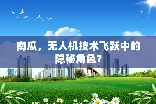 南瓜，无人机技术飞跃中的隐秘角色？