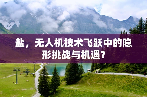 盐，无人机技术飞跃中的隐形挑战与机遇？