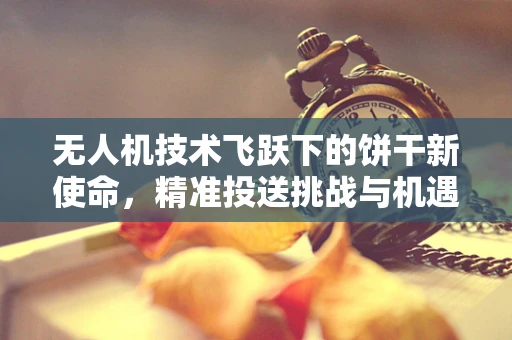 无人机技术飞跃下的饼干新使命，精准投送挑战与机遇？