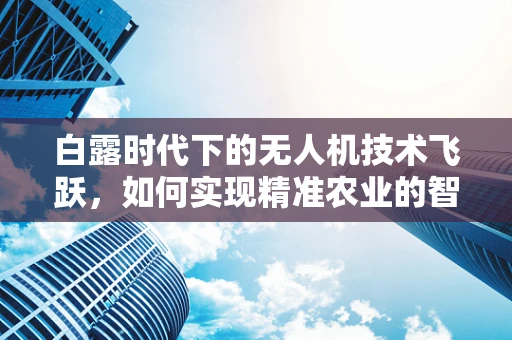 白露时代下的无人机技术飞跃，如何实现精准农业的智能监测？