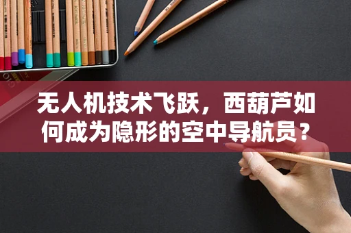 无人机技术飞跃，西葫芦如何成为隐形的空中导航员？