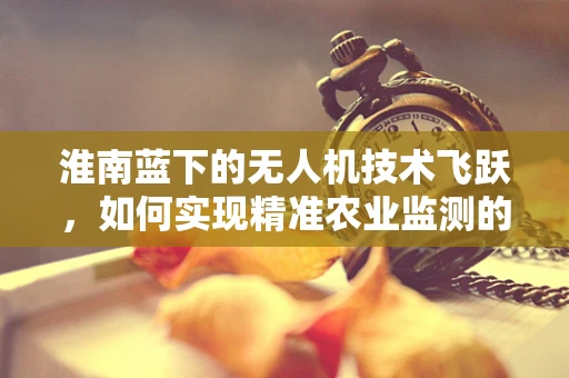 淮南蓝下的无人机技术飞跃，如何实现精准农业监测的智能化升级？