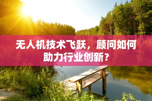 无人机技术飞跃，顾问如何助力行业创新？