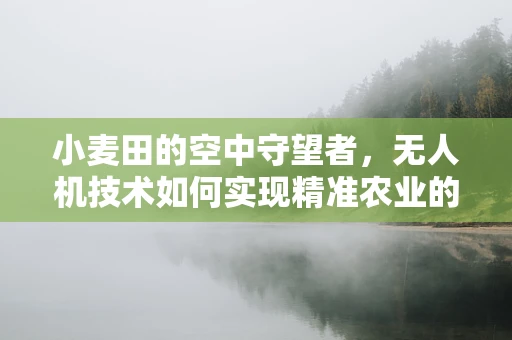 小麦田的空中守望者，无人机技术如何实现精准农业的飞跃？