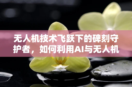 无人机技术飞跃下的碑刻守护者，如何利用AI与无人机技术保护名胜古迹的碑刻？