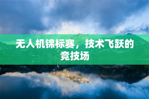 无人机锦标赛，技术飞跃的竞技场