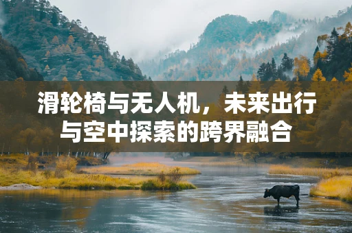 滑轮椅与无人机，未来出行与空中探索的跨界融合