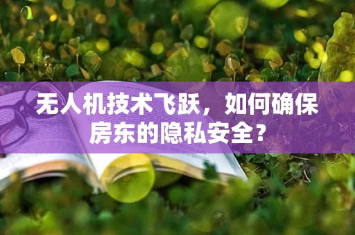无人机技术飞跃，如何确保房东的隐私安全？