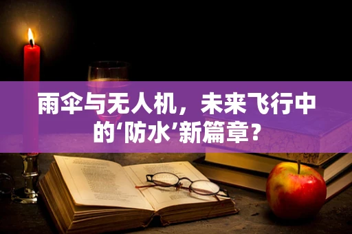 雨伞与无人机，未来飞行中的‘防水’新篇章？