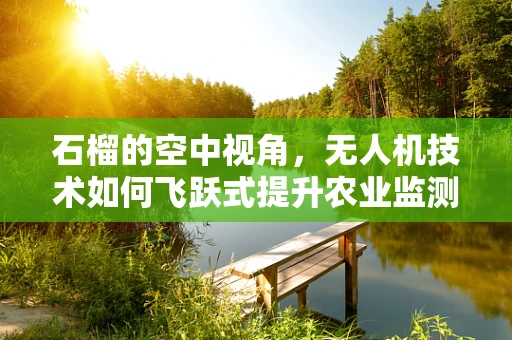石榴的空中视角，无人机技术如何飞跃式提升农业监测？