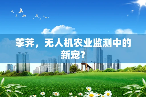 荸荠，无人机农业监测中的新宠？