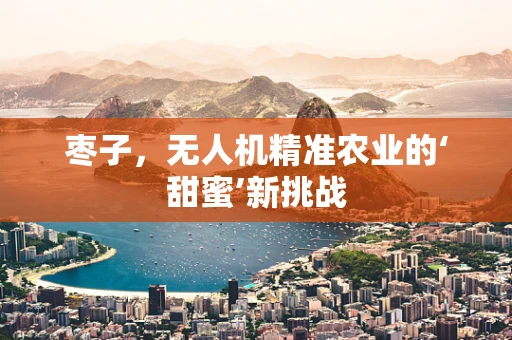 枣子，无人机精准农业的‘甜蜜’新挑战