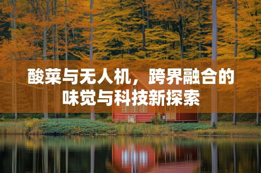 酸菜与无人机，跨界融合的味觉与科技新探索