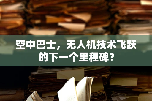 空中巴士，无人机技术飞跃的下一个里程碑？