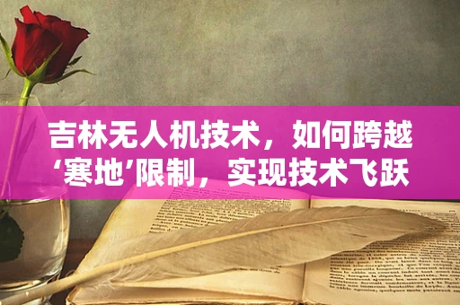 吉林无人机技术，如何跨越‘寒地’限制，实现技术飞跃？