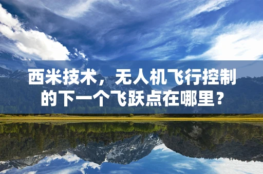 西米技术，无人机飞行控制的下一个飞跃点在哪里？
