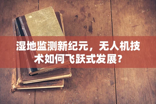 湿地监测新纪元，无人机技术如何飞跃式发展？