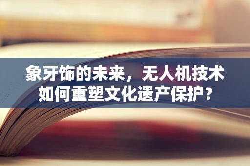 象牙饰的未来，无人机技术如何重塑文化遗产保护？