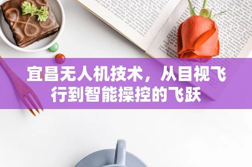 宜昌无人机技术，从目视飞行到智能操控的飞跃