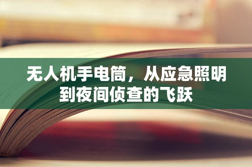无人机手电筒，从应急照明到夜间侦查的飞跃