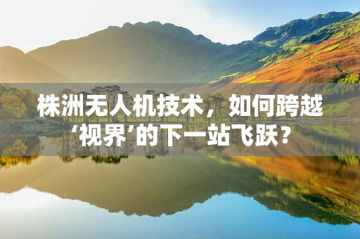 株洲无人机技术，如何跨越‘视界’的下一站飞跃？