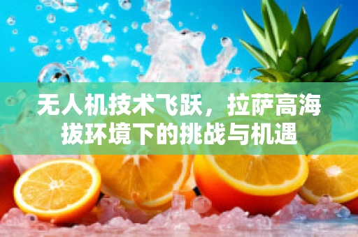 无人机技术飞跃，拉萨高海拔环境下的挑战与机遇
