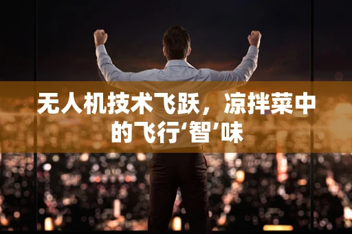 无人机技术飞跃，凉拌菜中的飞行‘智’味