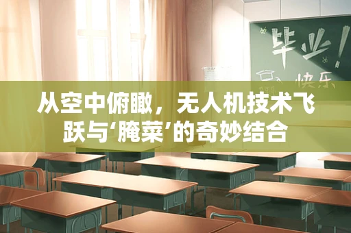 从空中俯瞰，无人机技术飞跃与‘腌菜’的奇妙结合