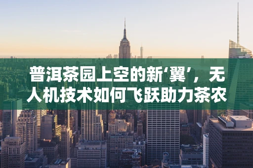 普洱茶园上空的新‘翼’，无人机技术如何飞跃助力茶农？